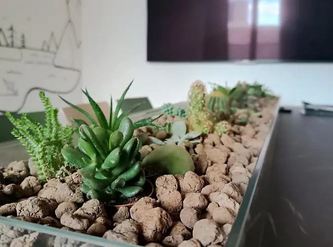 Nocleg ze śniadaniem Liotru Maisonne, With En-suite Bathroom And Shared Bathroom *